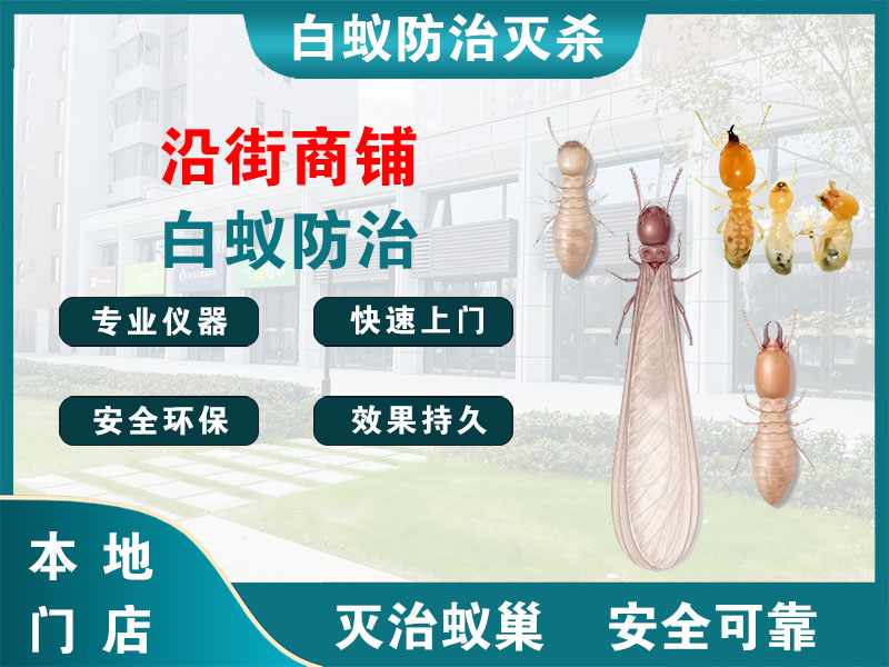 镇海沿街商铺白蚁防治