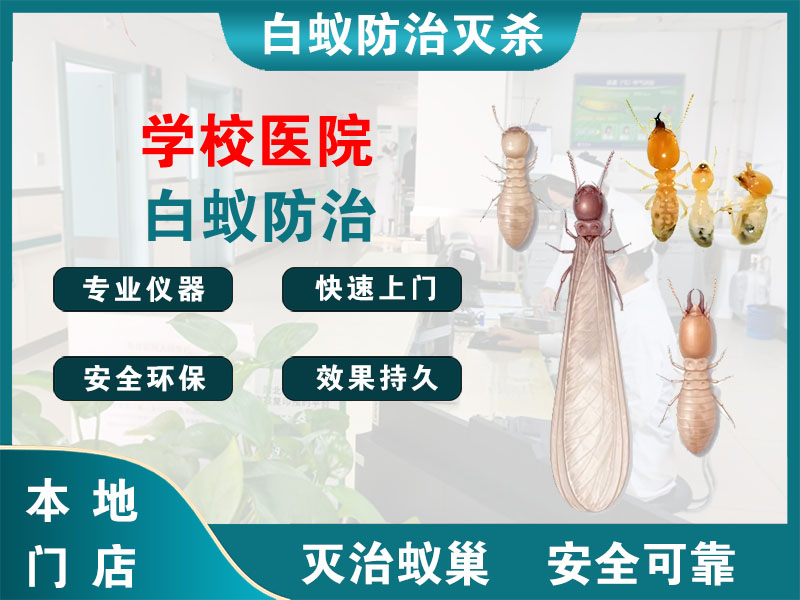 镇海学校医院白蚁防治