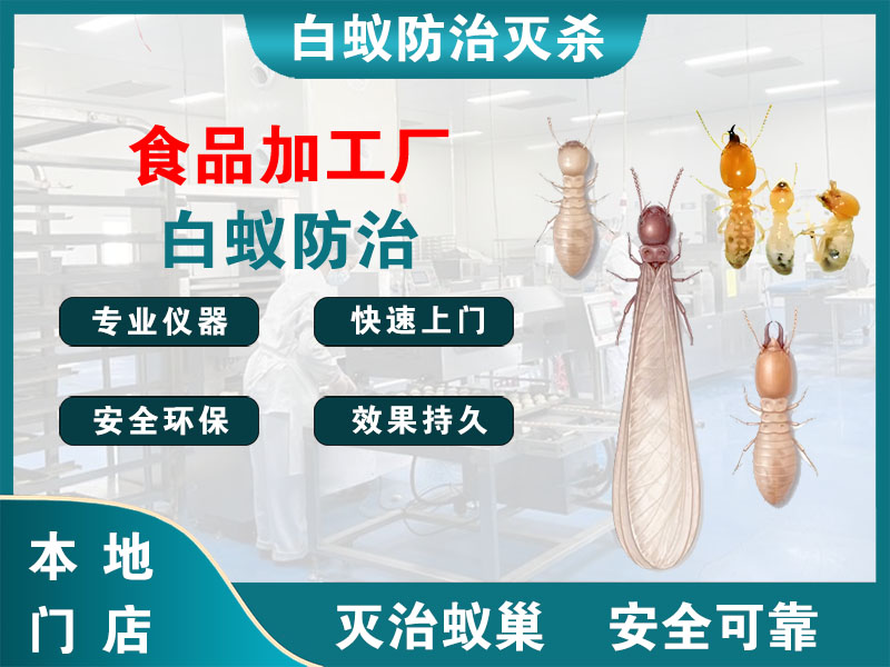 镇海食品加工厂白蚁防治