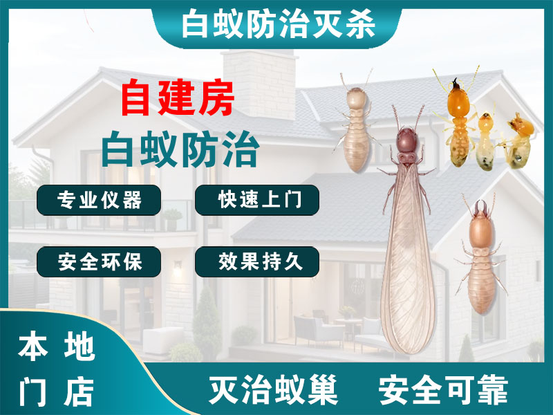 镇海自建房白蚁防治