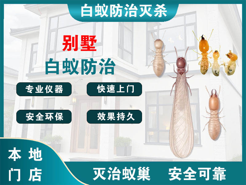 镇海别墅白蚁防治